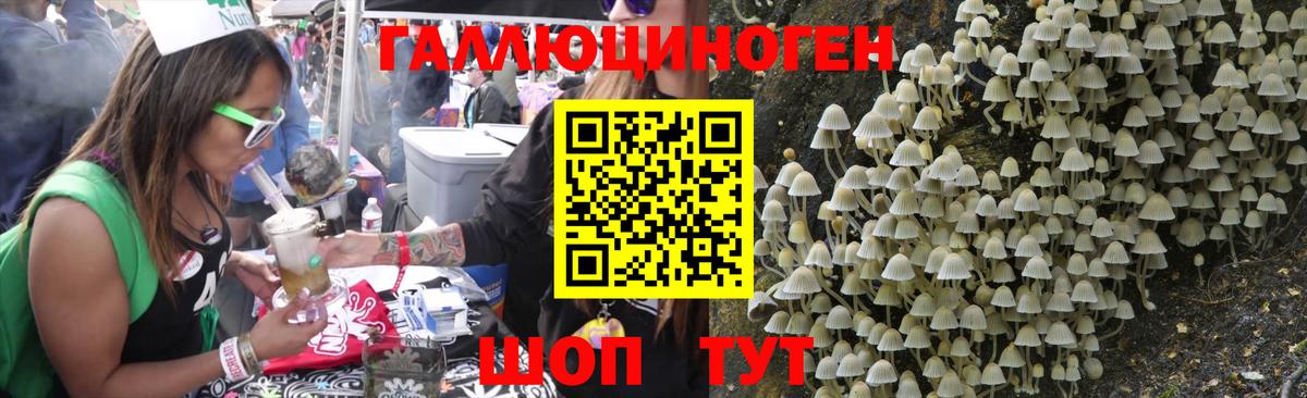 Псилоцибиновые грибы мухоморы  Галлюциногенные грибы MAGIC MUSHROOMS  где найти   Вход с VPN  Гагарин 